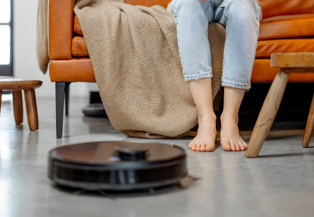 robot vacuum cleaning